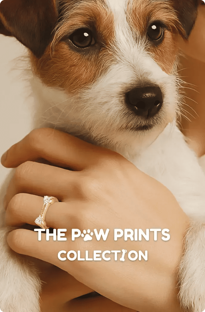 Paw Prints Collection