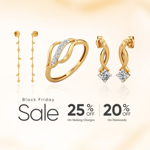 Black Friday Sale