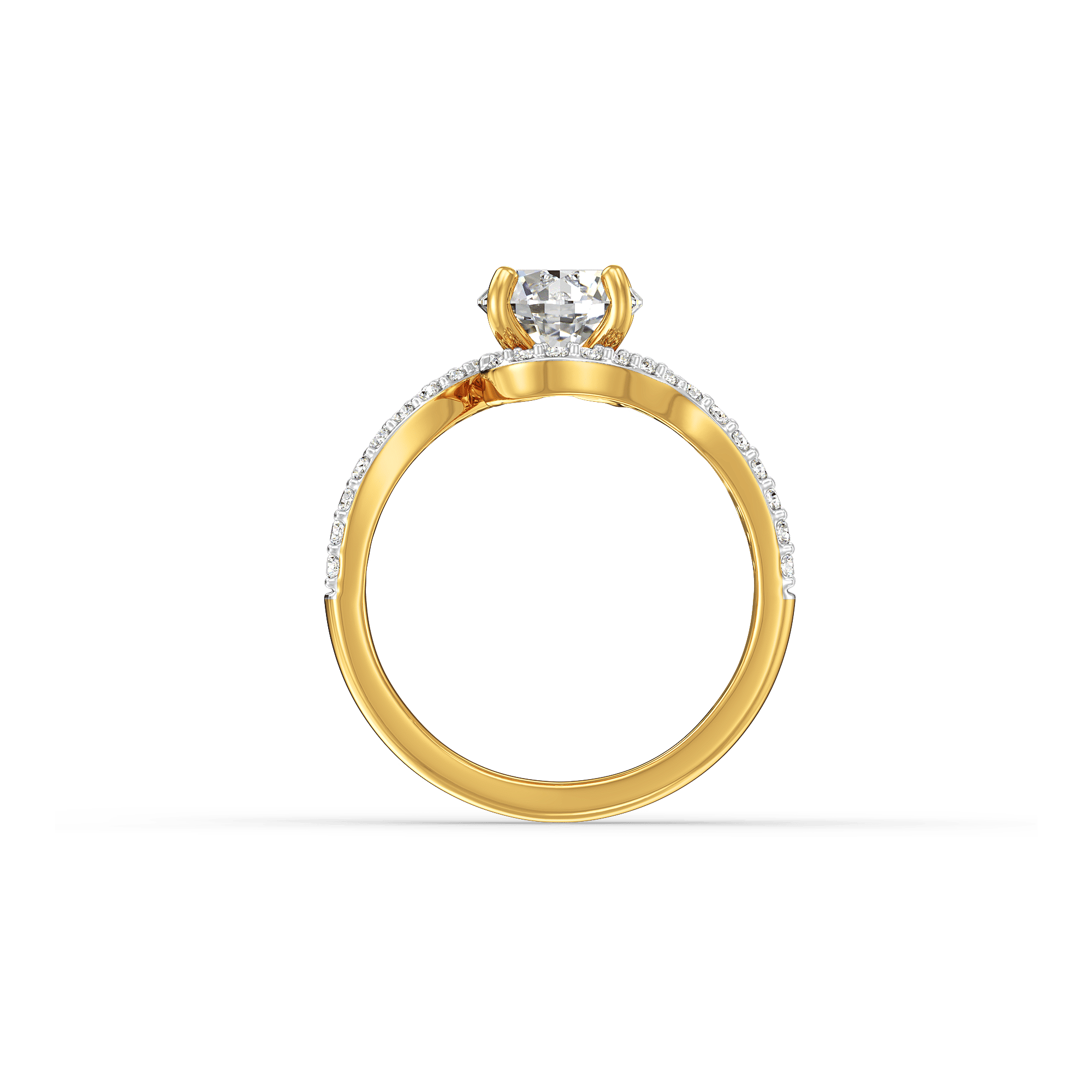 The Vortex Meridian Wave Ring 4