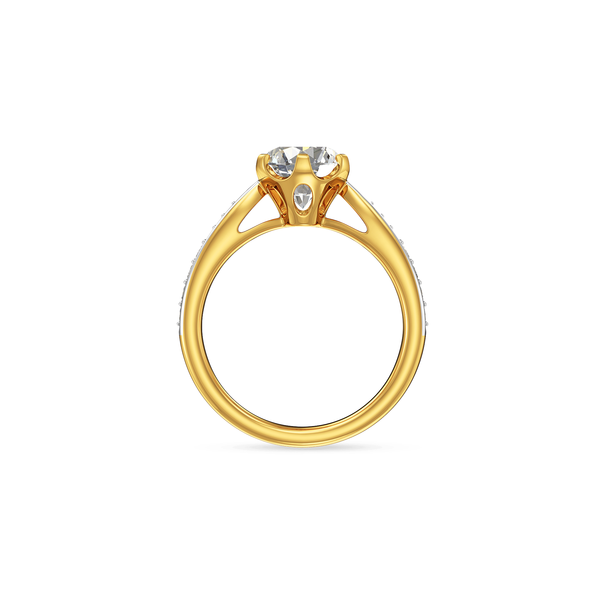 The Zenith Crest Ring 3