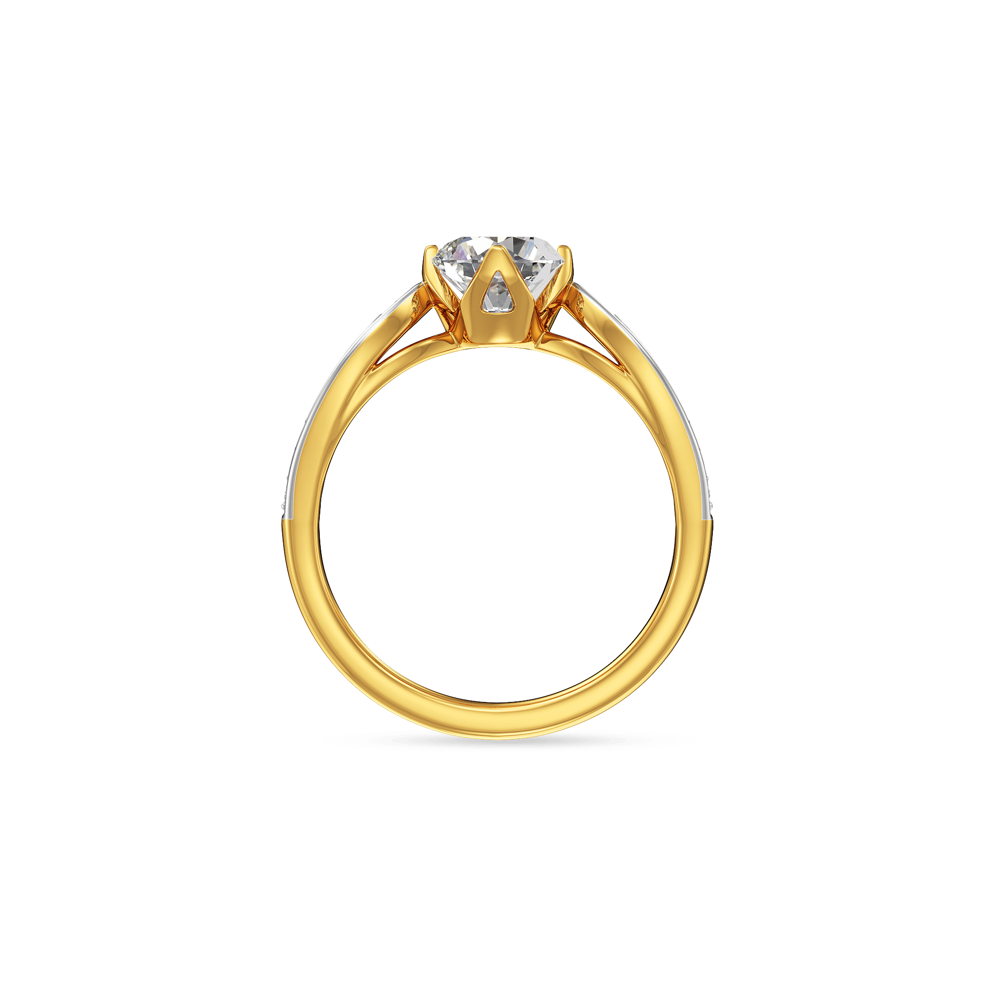 The Meridian Wing Ring 3