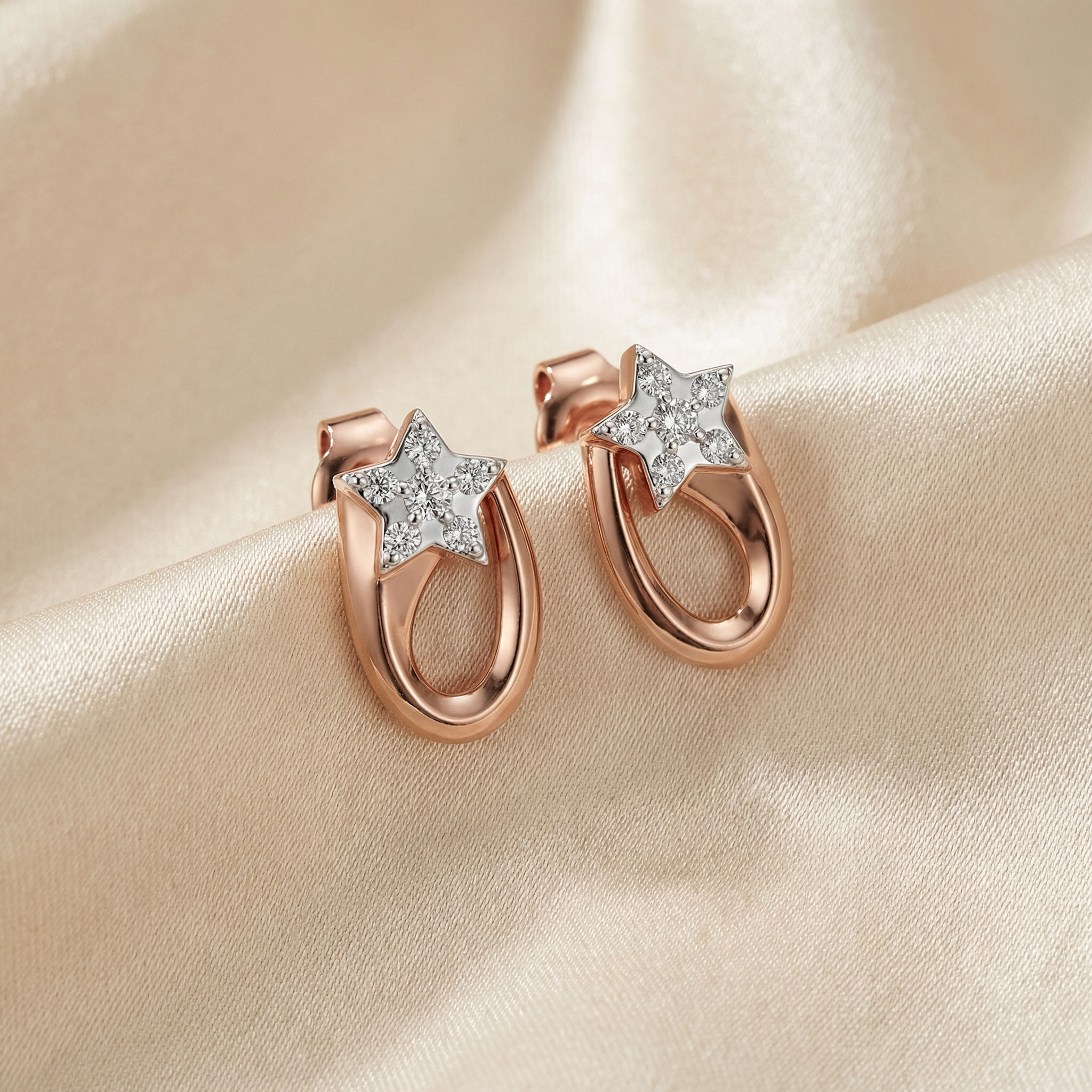 Starloop Earrings 2