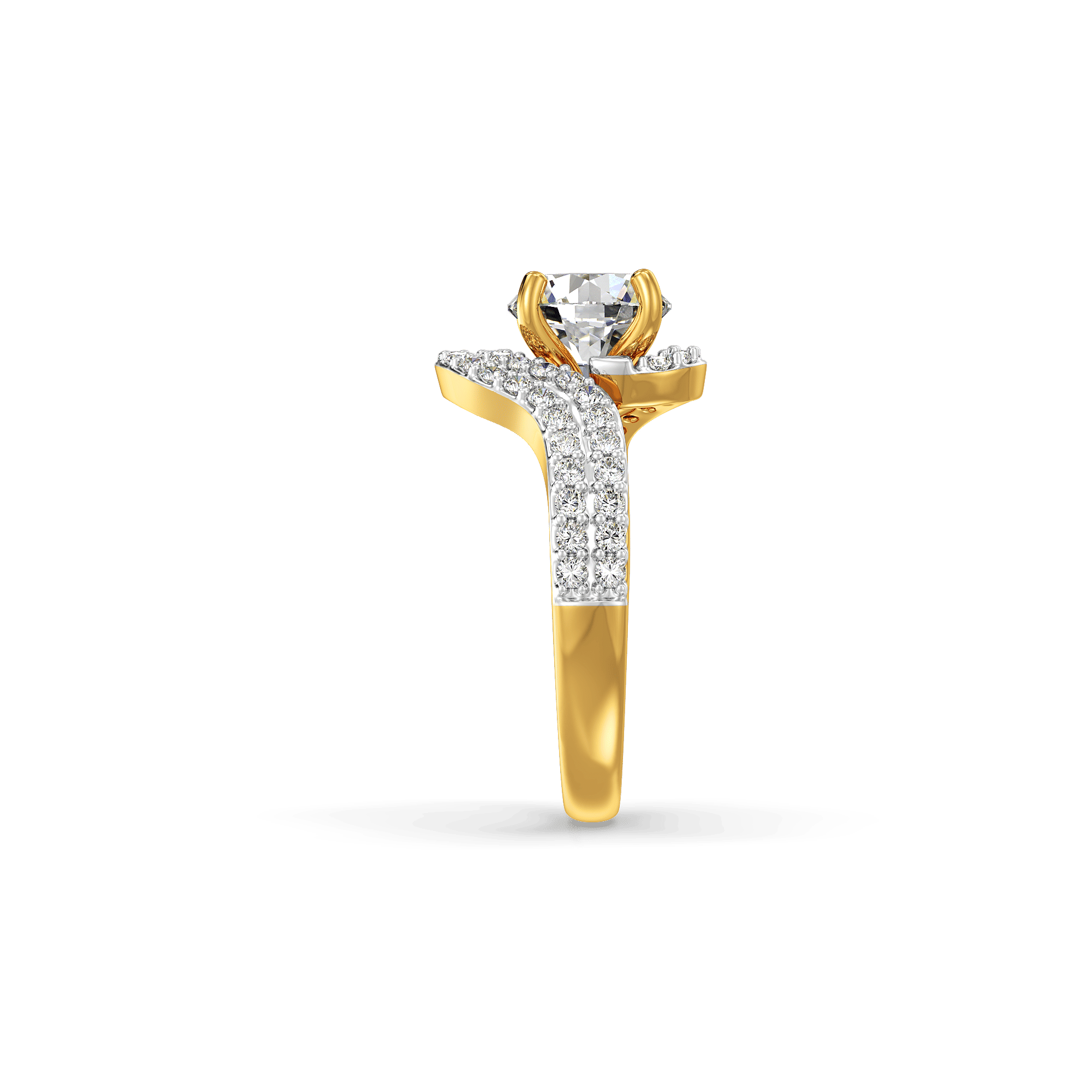The Vortex Meridian Wave Ring 3