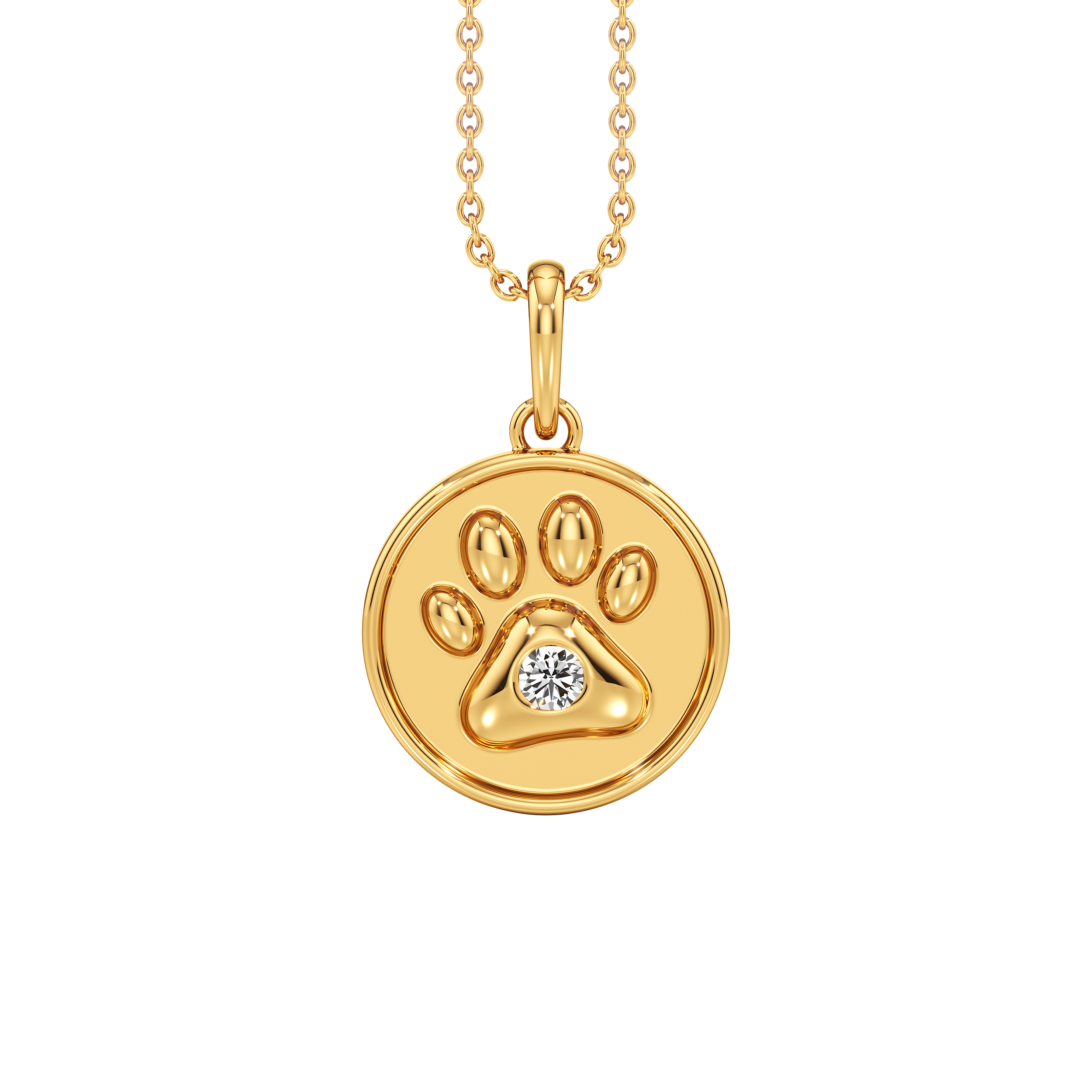 Pawfect Spark Pendant     2