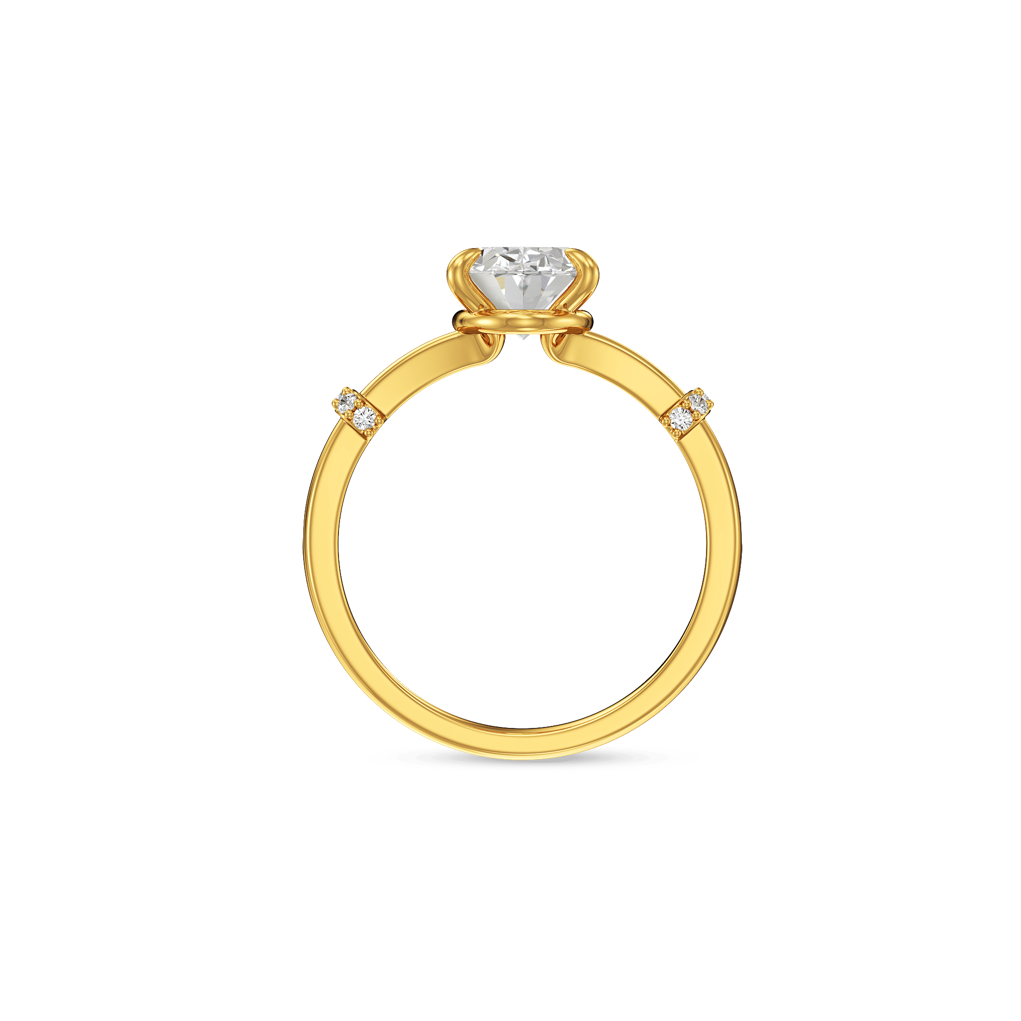 The Ovalis Ring 3