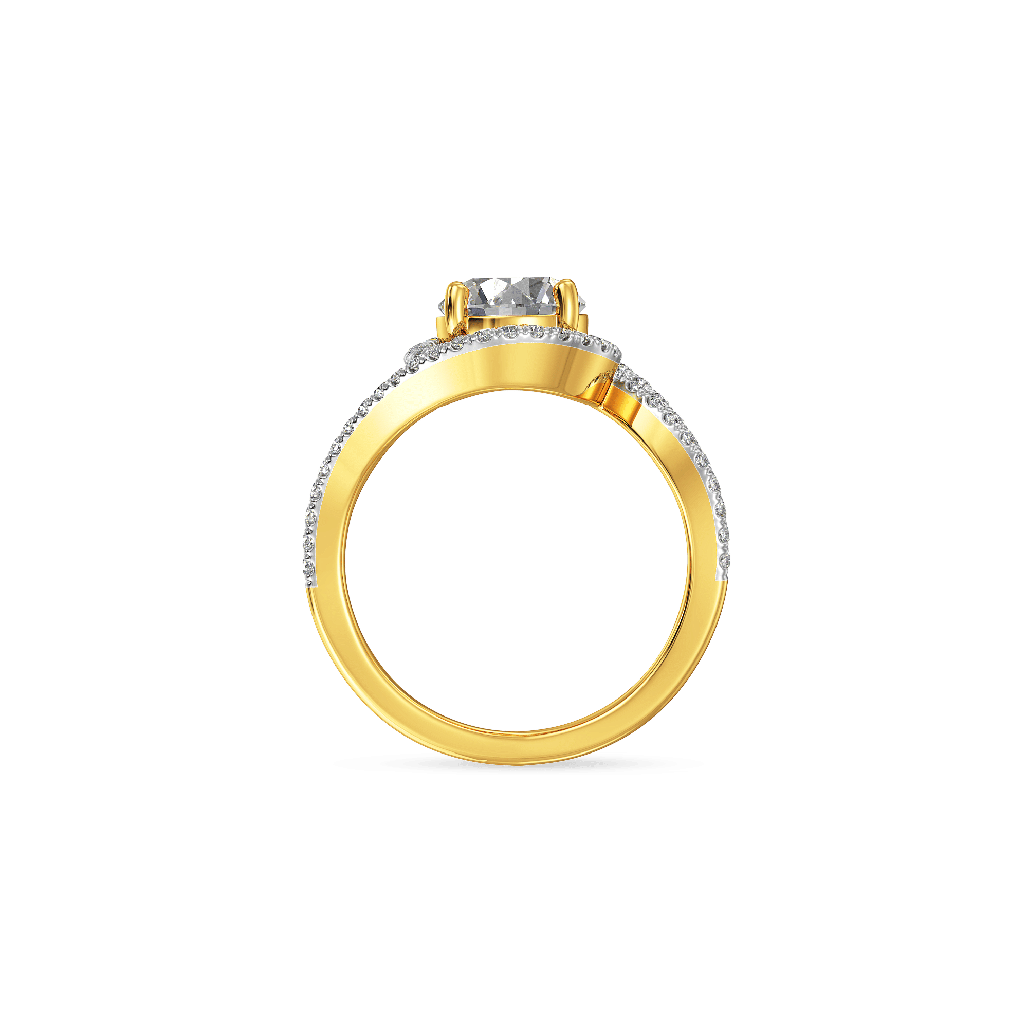 The Vortex Meridian Ring 3