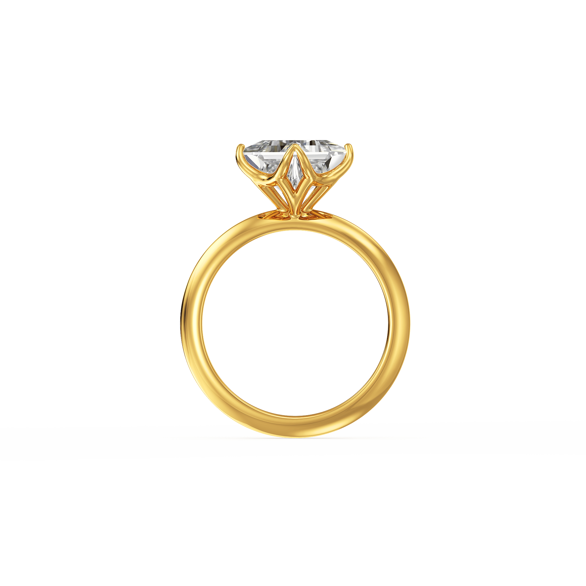 Twin Meridian Ring 3