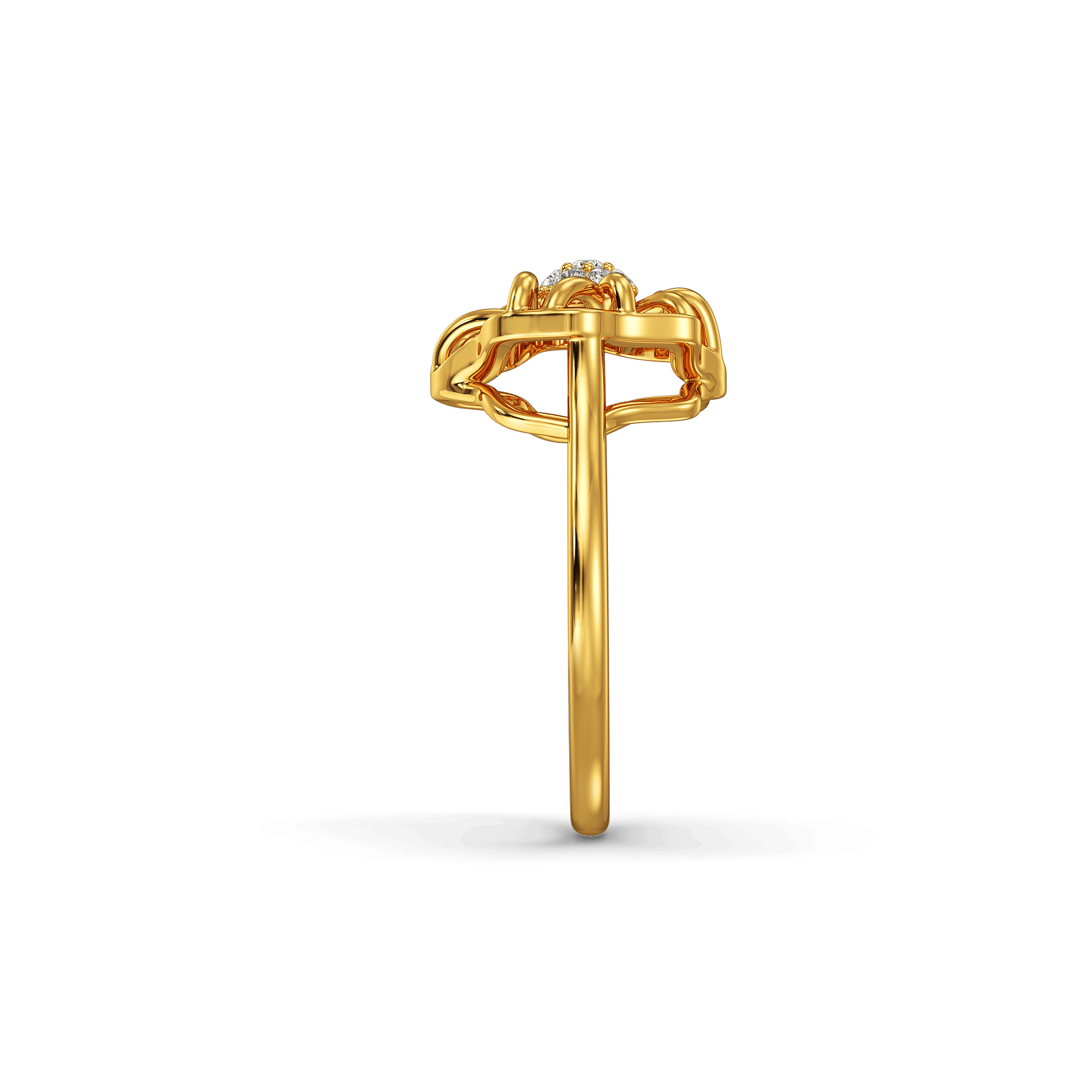 Fern and pollen Ring 2