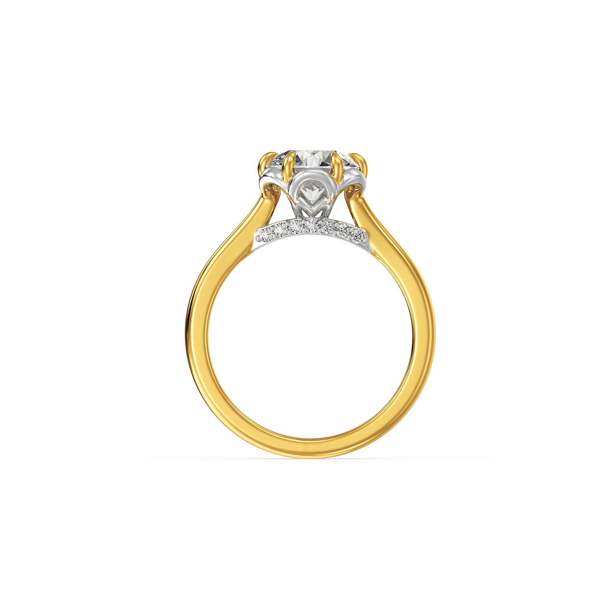Stellar Halo Ring 3