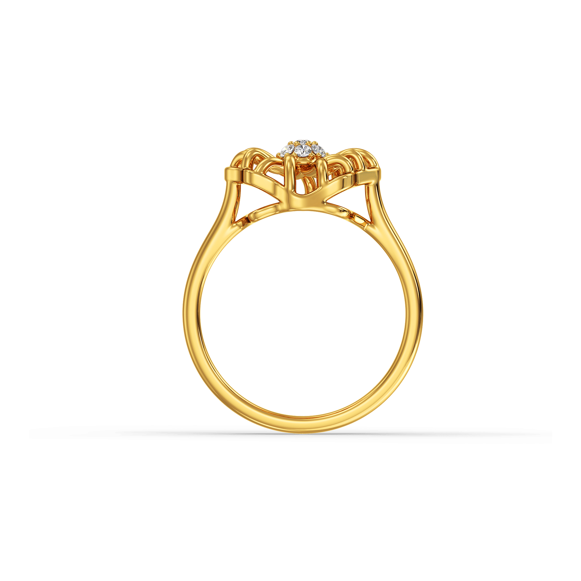 Fern and pollen Ring 3
