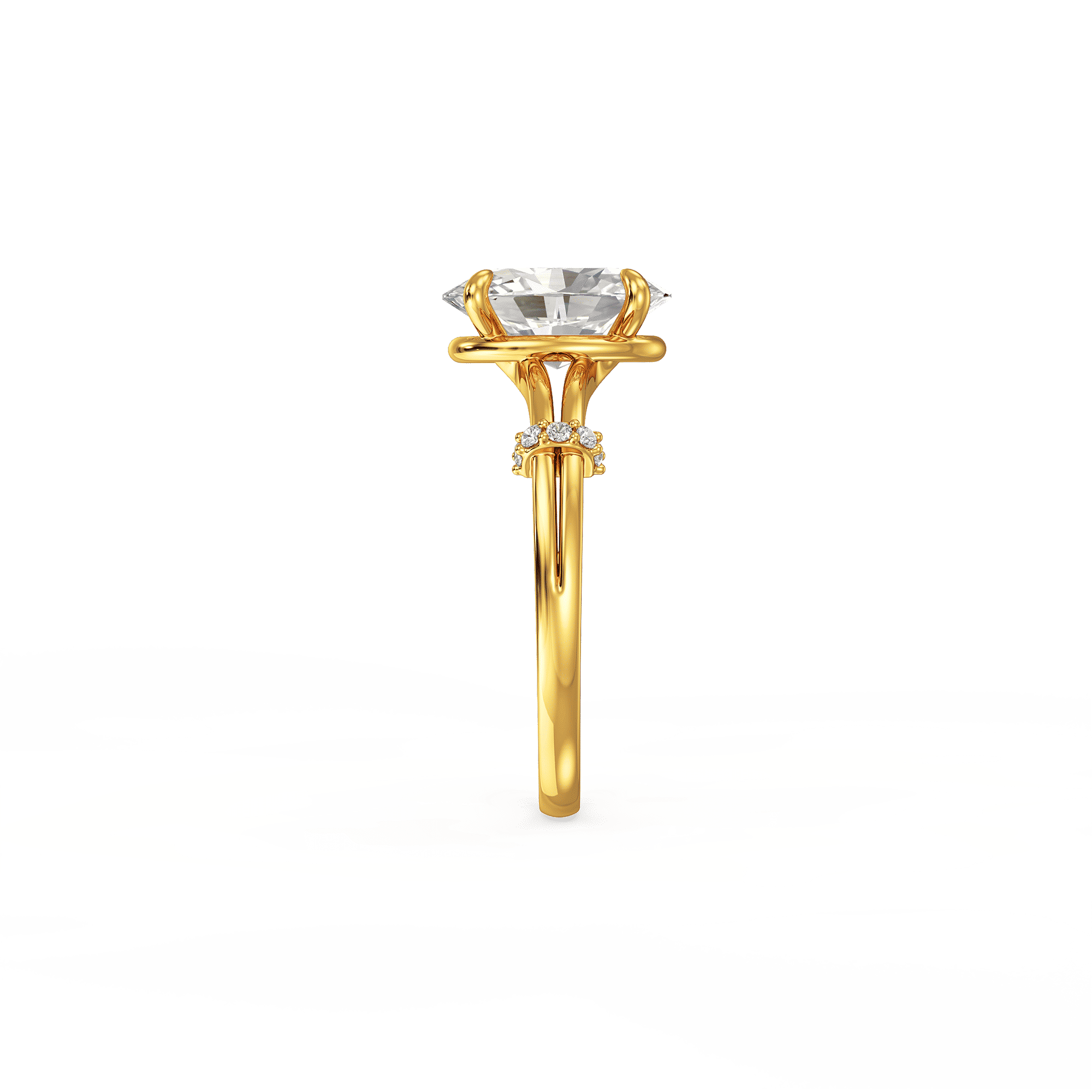The Ovalis Ring 2