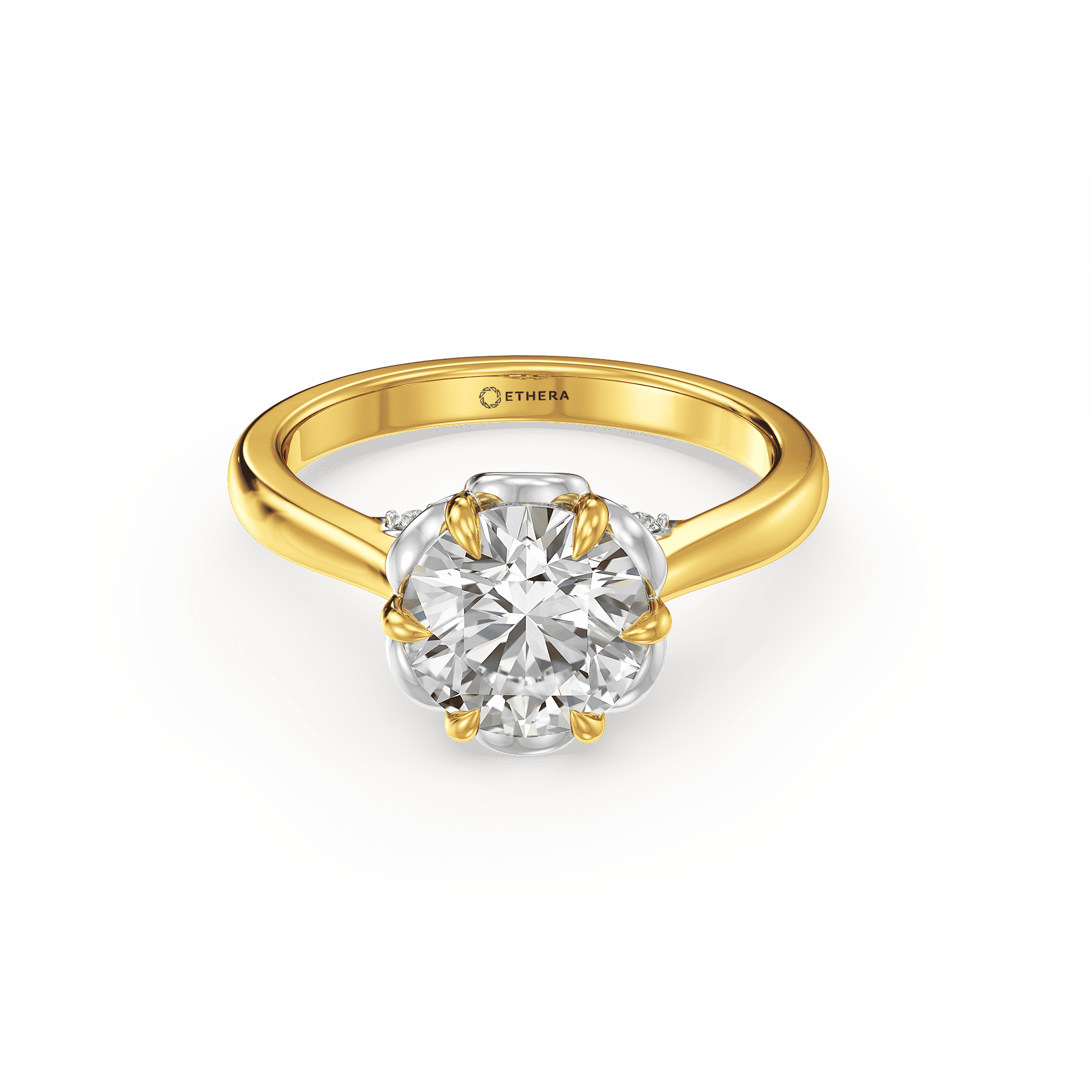 Stellar Halo Ring 1