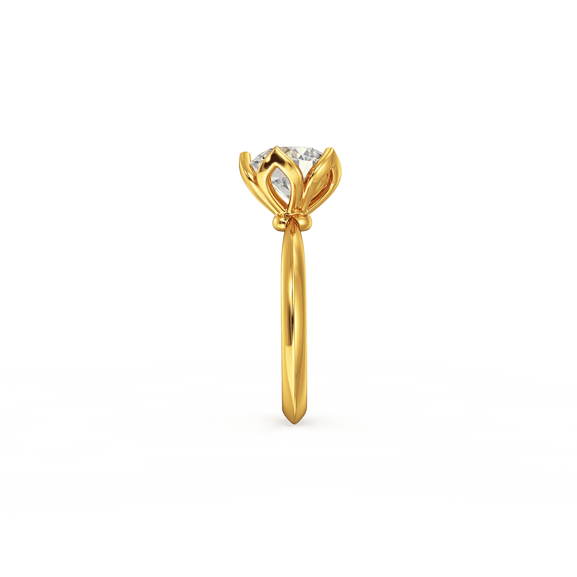 Crowned Crest Ring 2