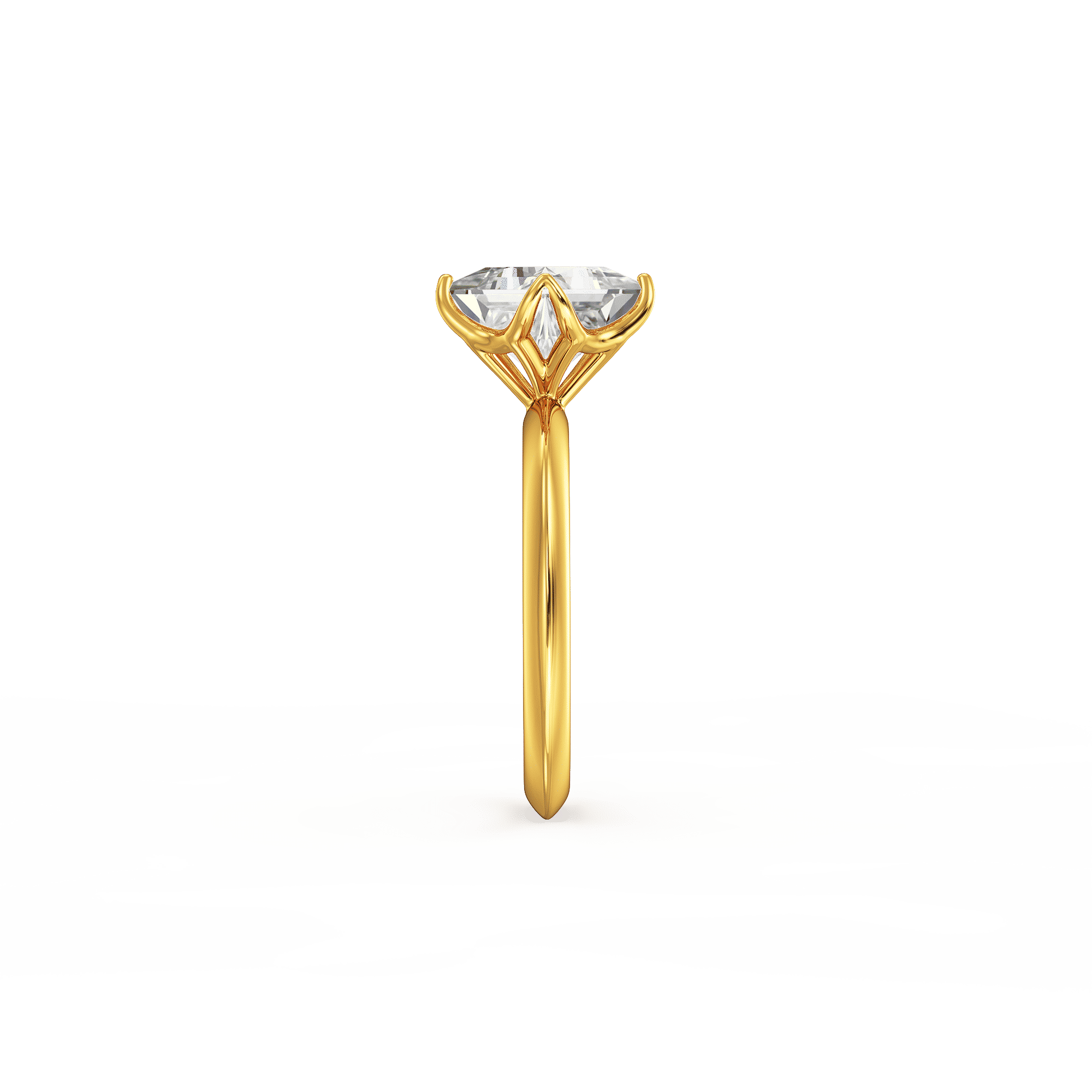 Twin Meridian Ring 2