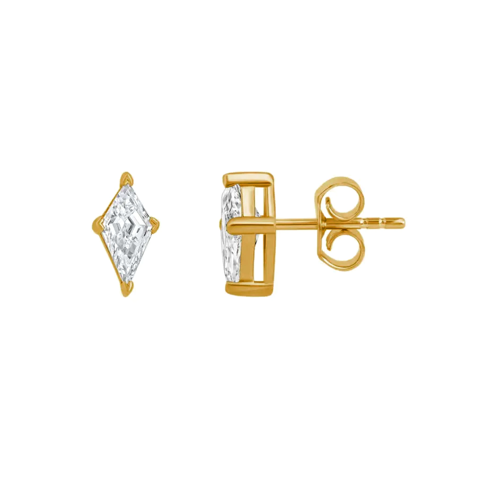 Vivid Flight Stud Earrings 1