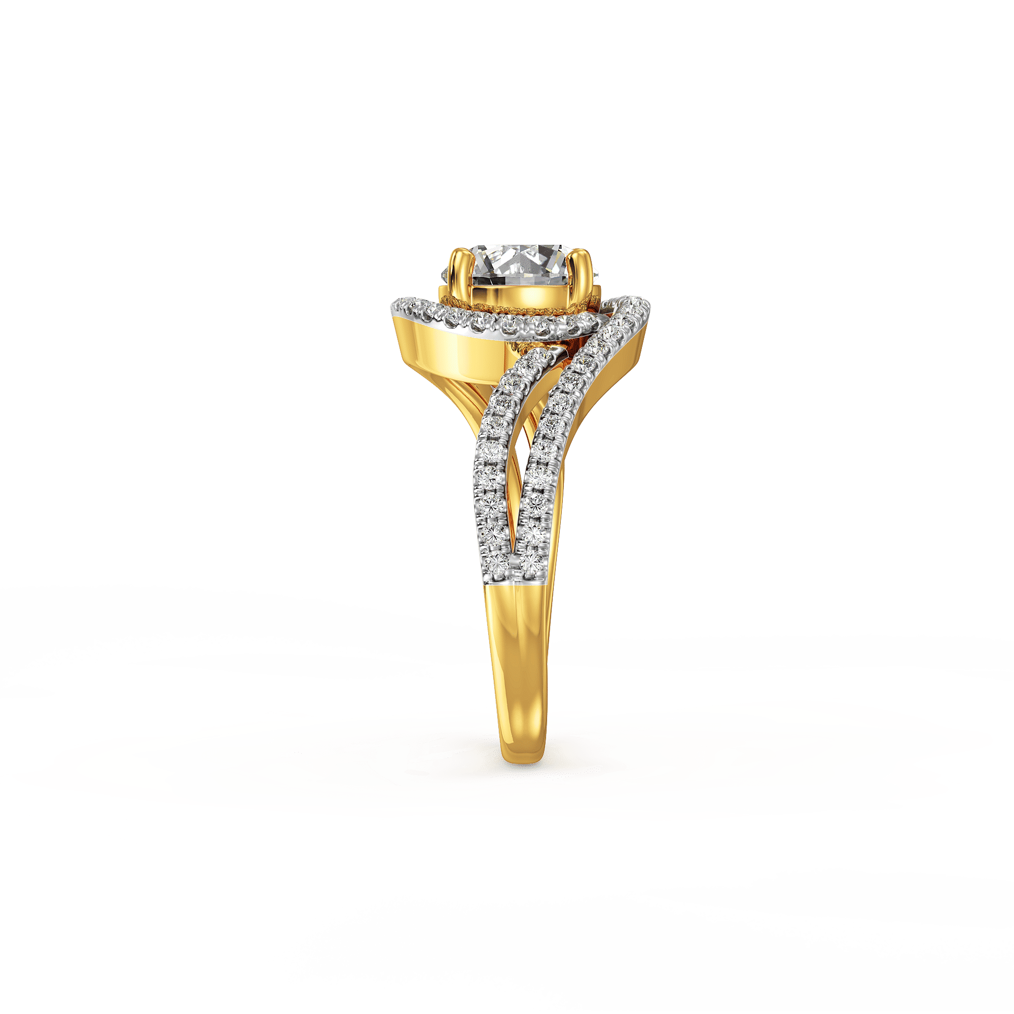 The Vortex Meridian Ring 2