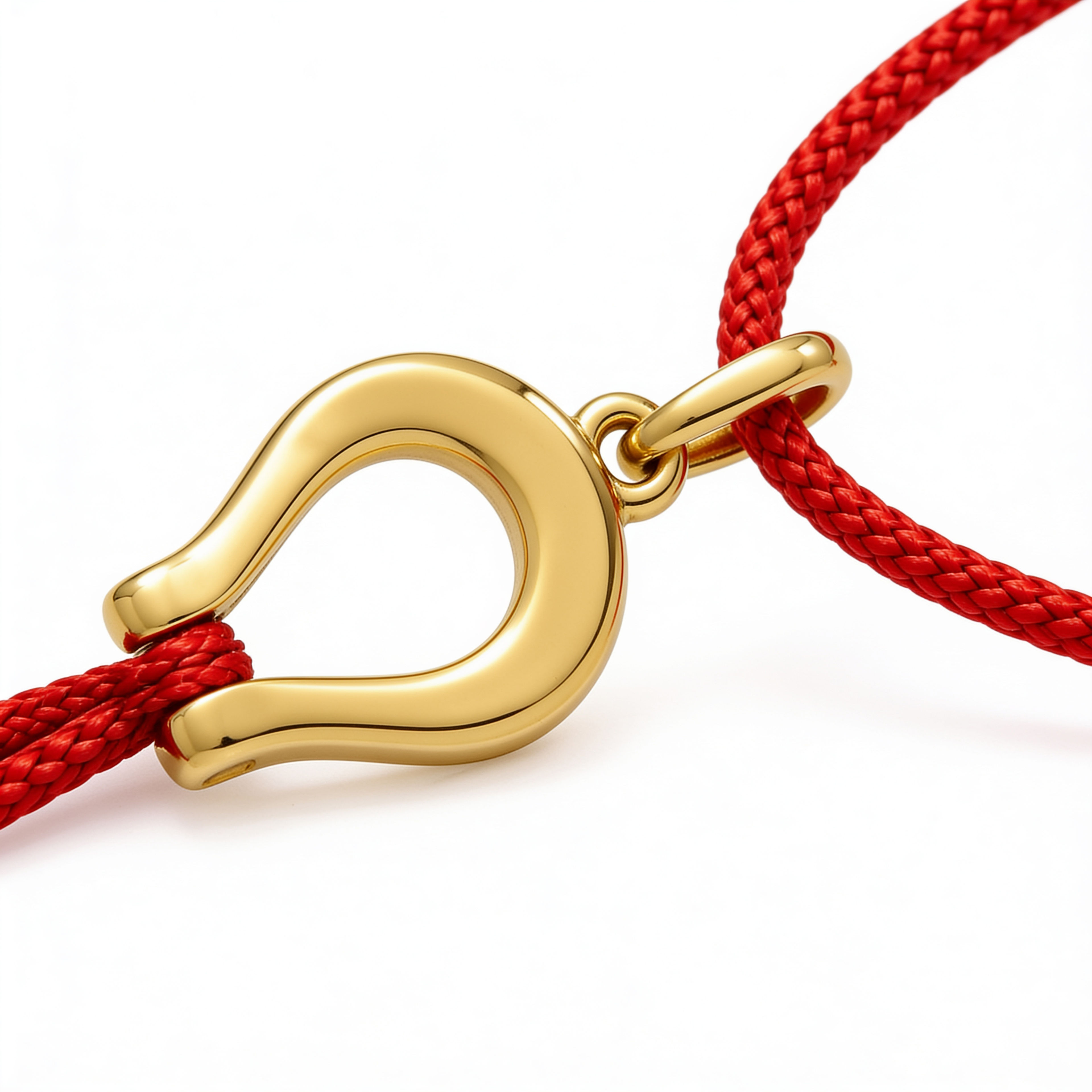 Horseshoe Charm Rakhi 2